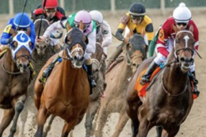 Technology has been a game-changer in Australian horse racing